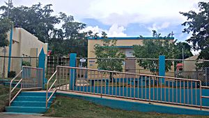 Elementary school in Bajos