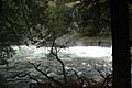 Emerald Pool in Flood Stage