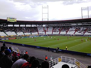 Estadio Palogrande CRC - ESP 2011