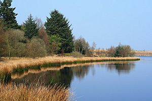 Fannyside Loch, Cumbernauld - geograph.org.uk - 1288576