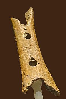 Flûte paléolithique (musée national de Slovénie, Ljubljana) (9420310527)