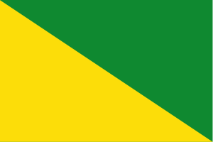 Flag of Ica