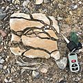 Fractured sandstone in the Nopah Range