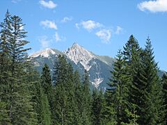From Wildsee, Seefeld in Tirol A