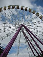 Geelong ferris wheel