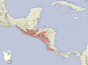 Heteromys salvini distribution map.png