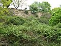 Holton Pit 3