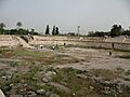 IMG 1214