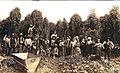 Indian hop pickers, Puget Sound region, Washington, ca 1893 (LAROCHE 78)