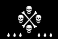 Jolly Roger flag of pirate Olivier Levasseur (La Buse) 5