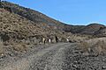 Kingston Range Excelsior Mine Road 3