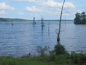 Lake D'Arbonne west of Farmerville IMG 3865