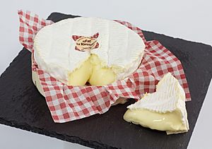 Le rustique 01 WikiCheese Lokal K.jpg