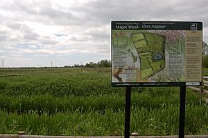 Magor Marsh Nature Reserve (Gwent Wildlife Trust) by Roger Davies