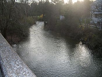 Manada Creek at the Jonestown Road bridge.jpg