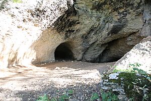 Mara, grotta di Filiestru (06)