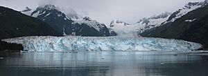 Meares glacier