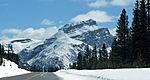 Mount Andromache from Icefields Parkway