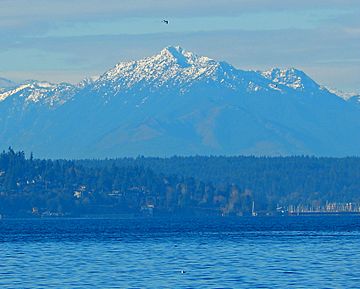 Mount Jupiter from West Seattle.jpg
