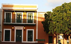 Museo Pablo Casals2