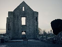 Newtown Abbey Cathedral west.jpg