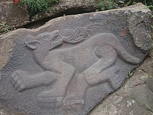 Océlotl (jaguar)