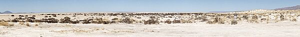 Panorama of the Salt Flat, Hudspeth County, Texas