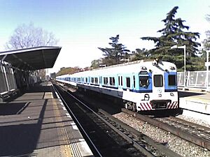 Paso del Rey Buenos Aires 03