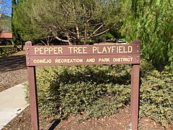Pepper-Tree-Playfield-Newbury-Park.jpg