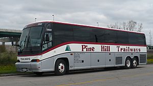 Pine Hill Trailways 72932