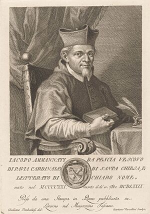 Portret van kardinaal Jacopo Ammannati, RP-P-1909-5437 (cropped)