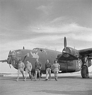 RAF 108 Squadron Liberator crew Egypt WWII IWM CBM 1261