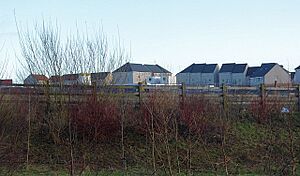 Ravenscraig New Homes