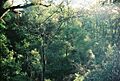 Ravinegardens01