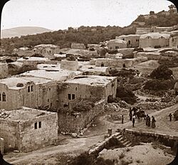 Samaria from the Minaret of Mosque (4879149239)