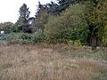 Site of the Irondale Jail 2