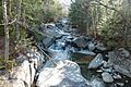 Stream near Phelps