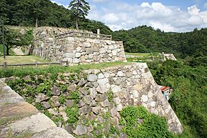 Tottori castle07 1920