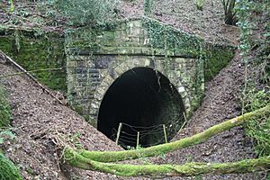 Trelill tunnel