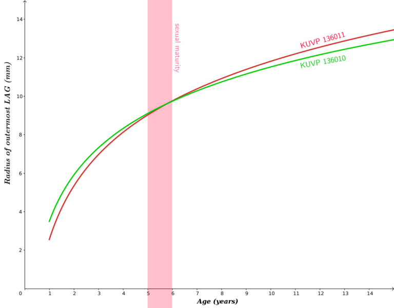 Tylosaurus growth curve from LAGs