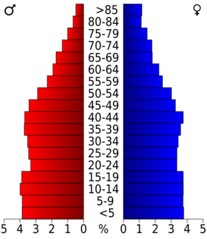 USA Angelina County, Texas age pyramid