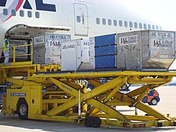 Unloading JAL 747