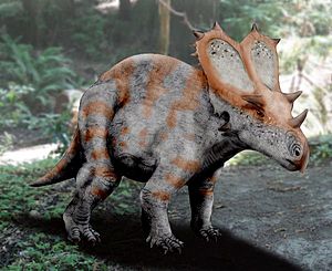 Utahceratops NT