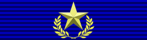 Valor militare gold medal BAR