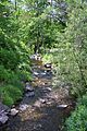 Watering Run looking downstream