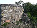 Welk Point Fort 2