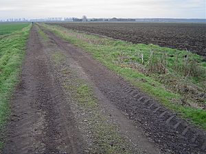 Whittlesey Mere - geograph.org.uk - 119101