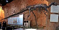 Xixia Dinosaur Park- Nanyangosaurus zhugeii.jpg