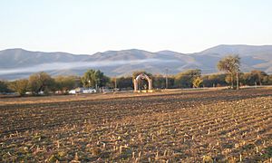2006 Entrada a Villa Juárez, SLP 271