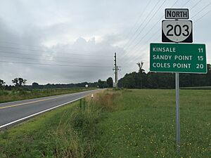 2017-07-05 08 10 00 View north along Virginia State Route 203 (Oldhams Road) at Virginia State Route 3 (Kings Highway-History Land Highway) in Lyells, Richmond County, Virginia